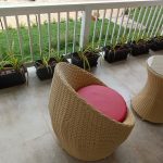 WhatsApp Image 2024-08-29 at 12.58.16 PM (2)